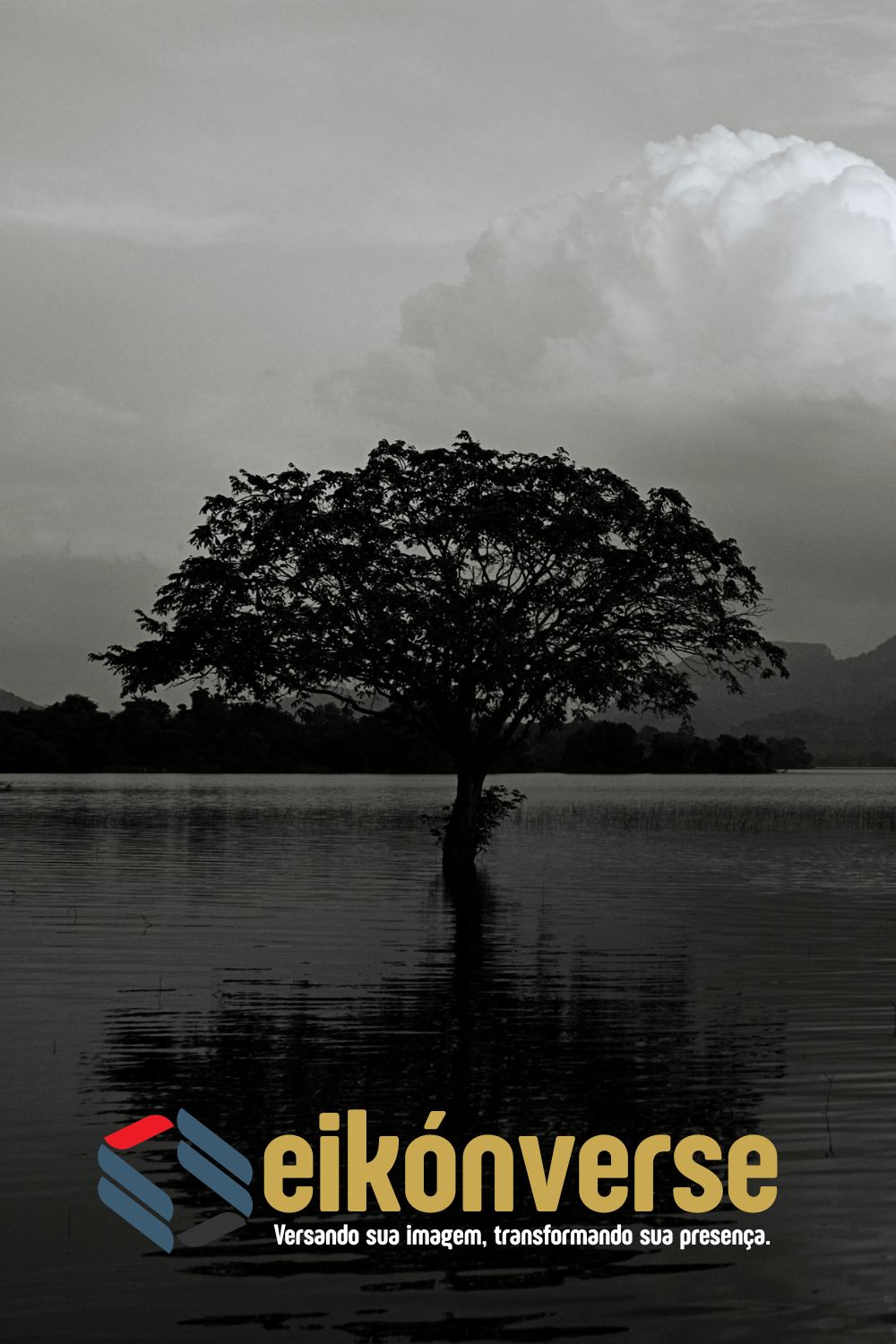 O Iniciado Silencioso