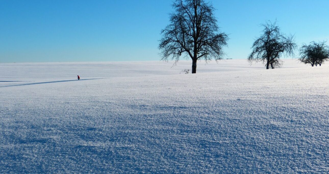 O Sentido EIKÓNVERSE – O Mover-se do Con-Versar